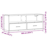 TV Cabinet Grey Sonoma 100x31x39.5 cm Engineered Wood and Metal 848932