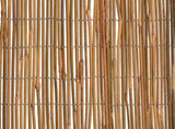 Bamboo Fence 500x100 cm 312296