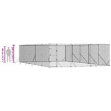 Outdoor Dog Kennel Silver 6x10x2 m Galvanised Steel 3190461