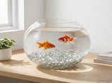 Glass Nugget 17-19 mm Transparent Glass 42041595