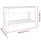 Garden Raised Bed with Shelf Grey 120x50x75 cm WPC 362570