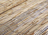 Garden Fence 600x90 cm Reed 365754