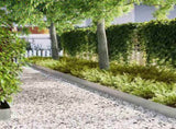 Lawn Edging 20 pcs Silver 100 x 0.05 x 20 cm Galvanised Steel 865962