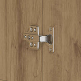 Shoe Cabinet with Door Brown 80 x 39 x 180 cm Engineered wood 3333874