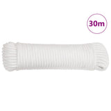 Folding Anchor with Rope Silver 3.2 kg Malleable Iron 94286