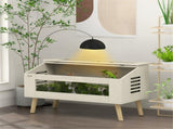 Reptile box 91236485