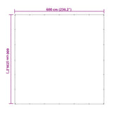 Plant Cover Transparent 6 x 6 m PE 3429288