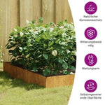 ZNTS Garden Raised Bed 100x100x26 cm Corten Steel 824514