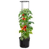 Tomato Grower Anthracite 39x150 cm Polypropylene 152210