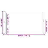 Patio Terrace Side awning 160 x 300 cm Black 40809