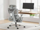 Ergonomic Office Chair, High Back Mesh Desk Chair, Grey T3398P549991