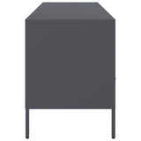 TV Cabinet Anthracite 100.5x39x50.5 cm Steel 843038