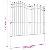 ZNTS Garden Fence with Spear Top Black 222 cm Powder-coated Steel 151083