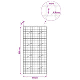 Gabion with 5 mm Wire and 10x10 cm Mesh 100x10x200 cm 3464972