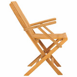 Folding Garden Chair Set of 2 Teak Solid teak wood Standard 362758