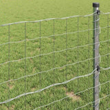 Euro Fence 0.6 x 25 m PVC-coated iron 42004747