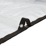 Clear Tarpaulin with Eyelets 6x12 m Polyethylene 4018576