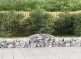 Arched Gabion Baskets 13 pcs 200x50x40/60 cm Galvanised Iron 3146268