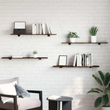 Wall Shelves 4 pcs Smoked Oak 100x20x1,5 cm Engineered Wood 838291