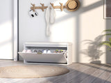 Shoe Storage Cabine 68014935