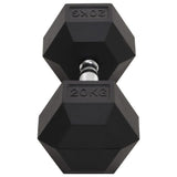 Dumbbell 20 kg Cast Iron 93608