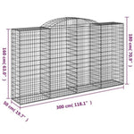 Arched Gabion Baskets 10 pcs 300x50x160/180 cm Galvanised Iron 3146763