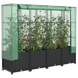 ZNTS Raised Bed with Greenhouse Cover Rattan Look 160x40x138 cm 4015816