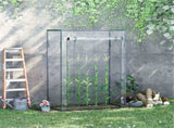 Mini Walk-in Greenhouse 24919983