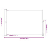 Patio Retractable Side Awning 200x300 cm Grey 313413