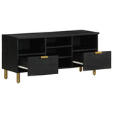 TV Cabinet Black 100x33x46 cm Engineered Wood 4017666