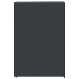 Wheelie Bin Storage for 3 Bins Anthracite 207x79x117 cm Steel 3279983