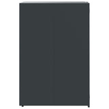 Wheelie Bin Storage for 2 Bins Anthracite 138x79x117 cm Steel 3279982