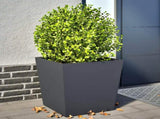Garden Planters Anthracite 2 pcs 50x50x50 cm Steel 851071