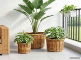 Planter Basket GENDT 3 pcs Natural Brown Kubu Rattan 42020956