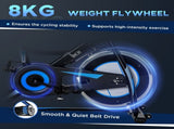 Stationary Exercise Bike, 8kg Flywheel Indoor Cycling Workout Fitness Bike, Adjustable Resistance T3398P376853