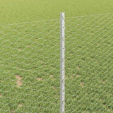 Welded Wire Fence 10 x 1 m Hot-Dip Galvanised Steel 3336963
