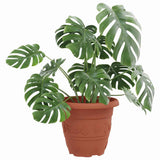 Round Flower Pot 24 pcs Brick Red 22 x 18 cm Plastic 42020289
