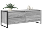 TV Cabinet Grey Sonoma 100 x 36 x 49.5 cm Engineered Wood 886621