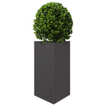 ZNTS Garden Planter Black Triangular 50x43x75 cm Steel 851171