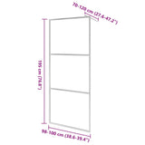 Walk-in Shower Wall with Clear ESG Glass 100x195 cm 146637