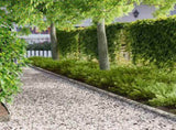 Lawn Edging 10 pcs 103 x 10 cm Steel Silver 8008342