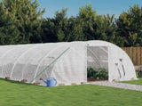 Greenhouse with Steel Frame White 24 m 6x4x2 m 3188073