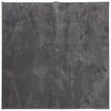 Rug HUARTE Short Pile Soft and Washable Anthracite 160x160 cm 375002