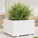 Garden Planter White 80x80x49.5 cm Solid Wood Pine 3282530