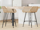 Bar Chair 2 pcs 55 x 52 x 105 cm Rattan and Iron 42011553