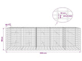 Gabion with 3.5 mm Wire and 5x10 cm Mesh 250x20x100 cm 3462623