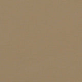 Retractable Side Awning Taupe 160x300 cm 4004319