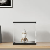 Display Box Transparent 30x30x30 cm Acrylic 154924