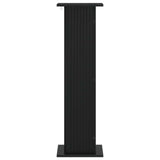 Plant Stand 2 pcs Black 30.5 x 30 x 100.5 cm Engineered Wood 899747