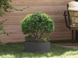 Planter Ring 5 pcs Black 30 x 30 x 20 cm Cold-rolled Steel 873593